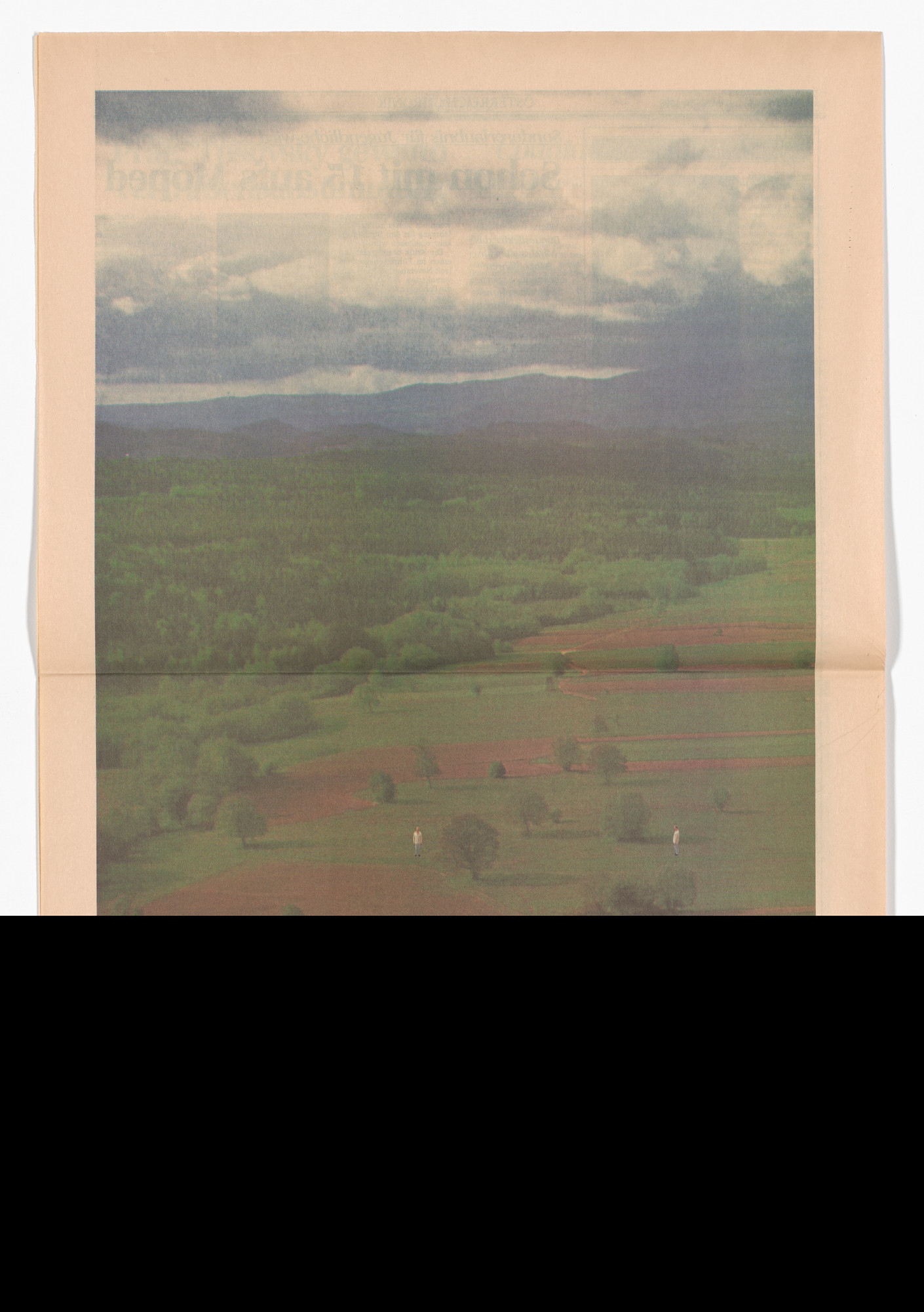 Elisabeth Grübl, Manfred Grübl. Untitled from the Museum in Progress project Interventions: Cooperation Secession: Individual Exhibitions