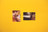 Hương Ngô, Hồng-An Trương. The opposite of looking is not invisibility. The opposite of yellow is not gold. 2016