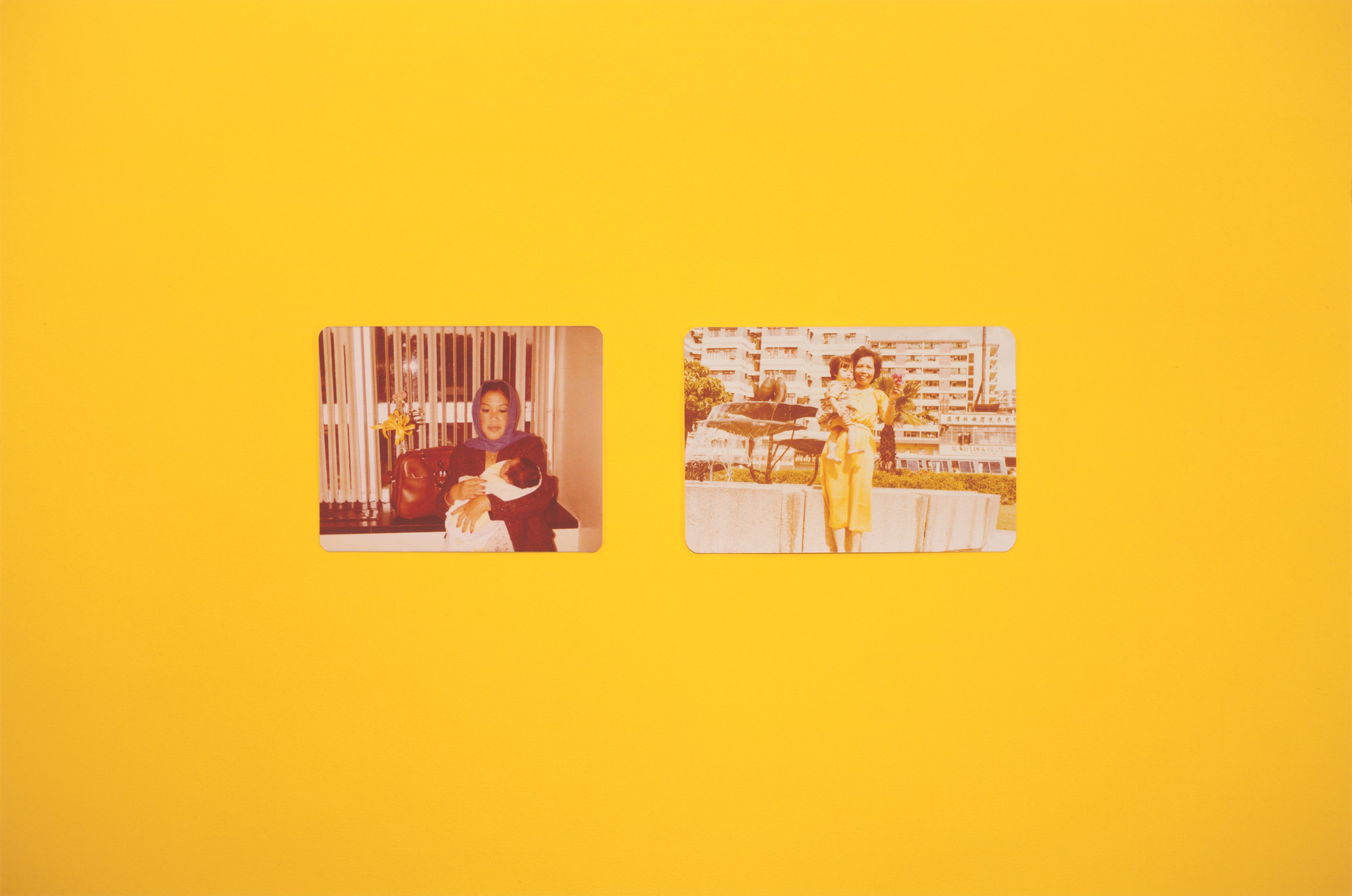Hương Ngô, Hồng-An Trương. The opposite of looking is not invisibility. The opposite of yellow is not gold. 2016