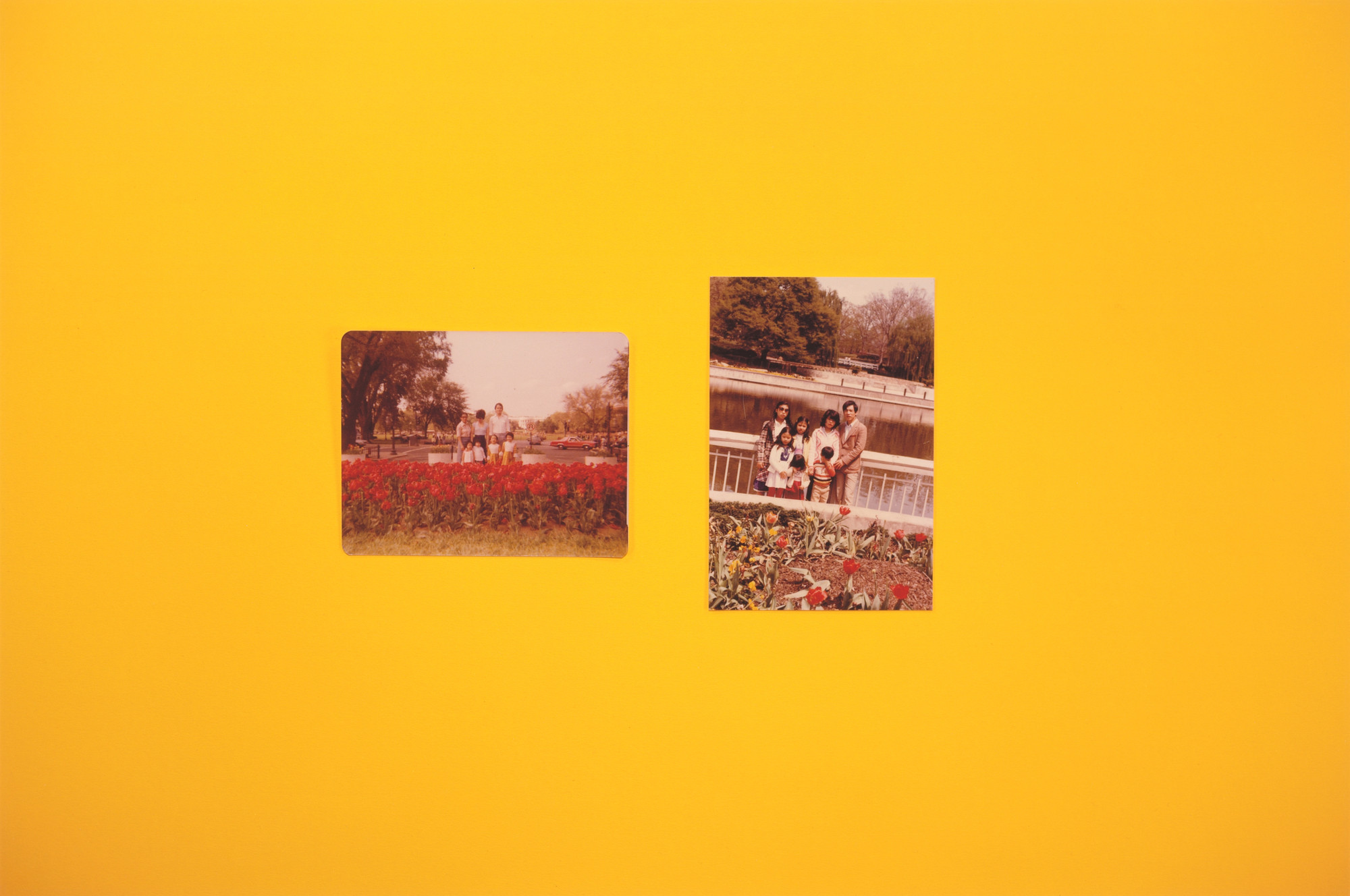 Hương Ngô, Hồng-An Trương. The opposite of looking is not invisibility. The opposite of yellow is not gold. 2016