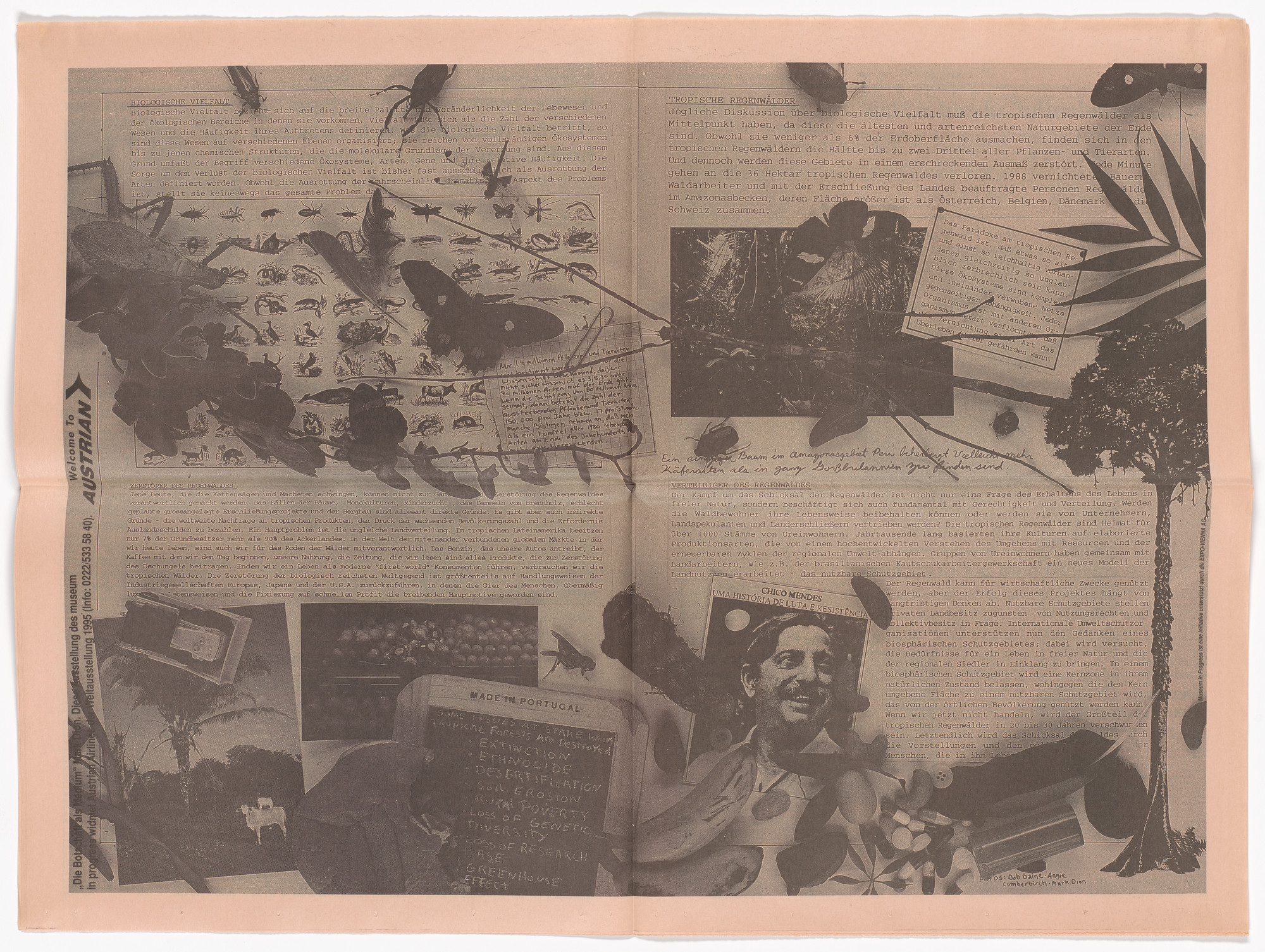 Mark Dion. Untitled from the Museum in Progress project The Message as Medium