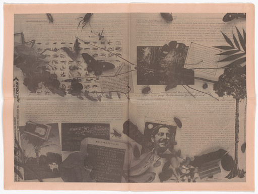 Mark Dion. Untitled from the Museum in Progress project The Message as Medium