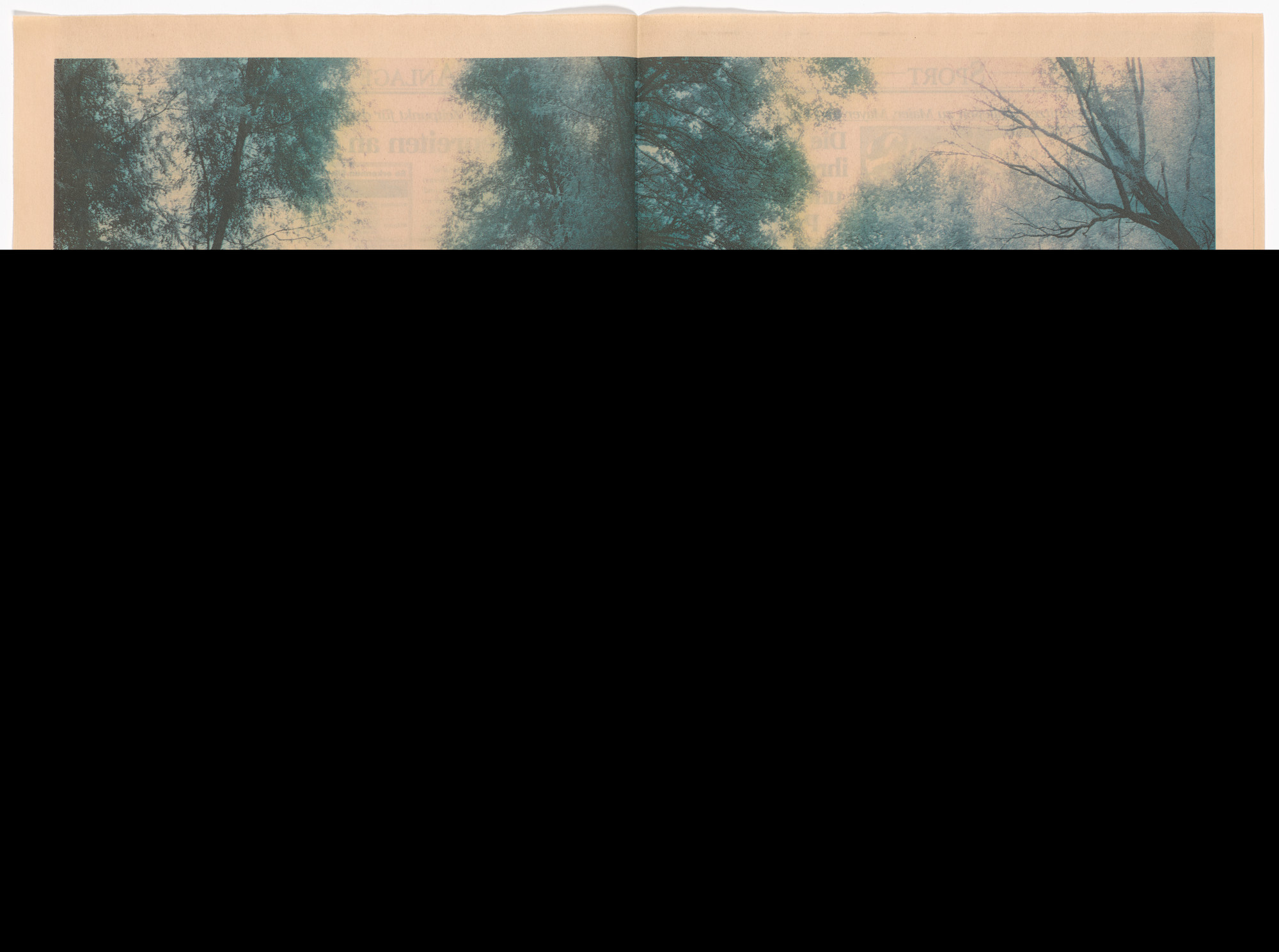 Martine Aballea. Jardin Voyageur for the Museum in Progress project Art and Global Media