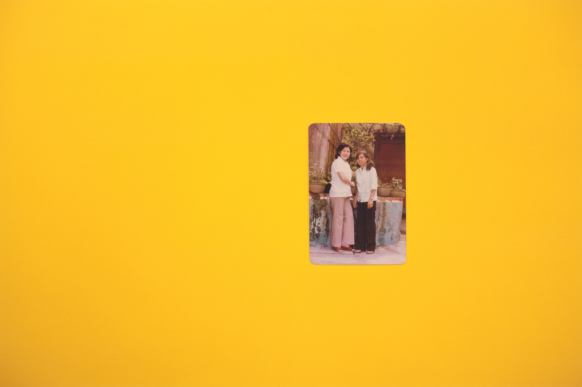 Hương Ngô, Hồng-An Trương. The opposite of looking is not invisibility. The opposite of yellow is not gold. 2016