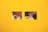 Hương Ngô, Hồng-An Trương. The opposite of looking is not invisibility. The opposite of yellow is not gold. 2016