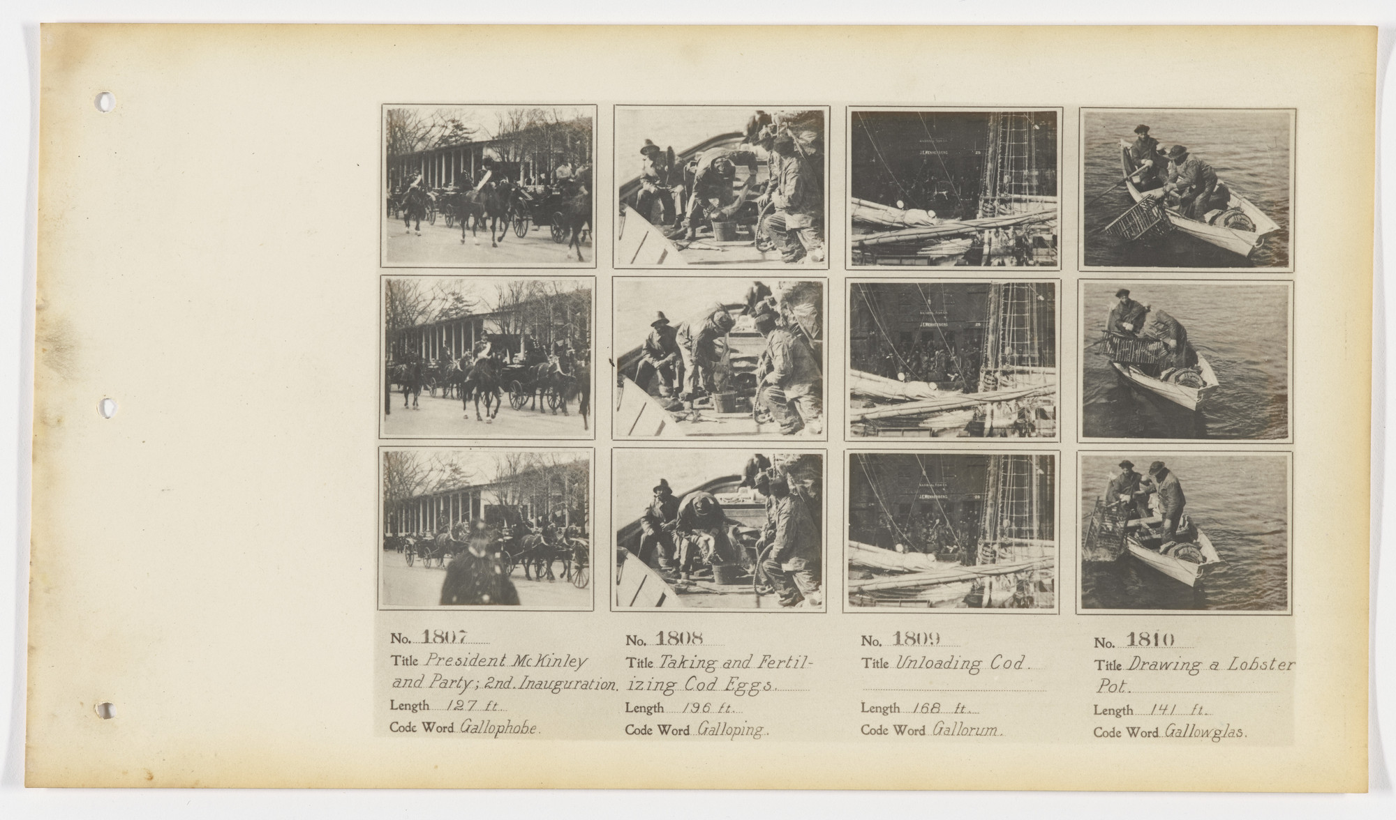 American Mutoscope and Biograph Company. 1807. President McKinley and Party; 2nd, Inauguration 1808. Taking and Fertilizing Cod Eggs 1809. Unloading Cod 1810. Drawing a Lobster Pot.
