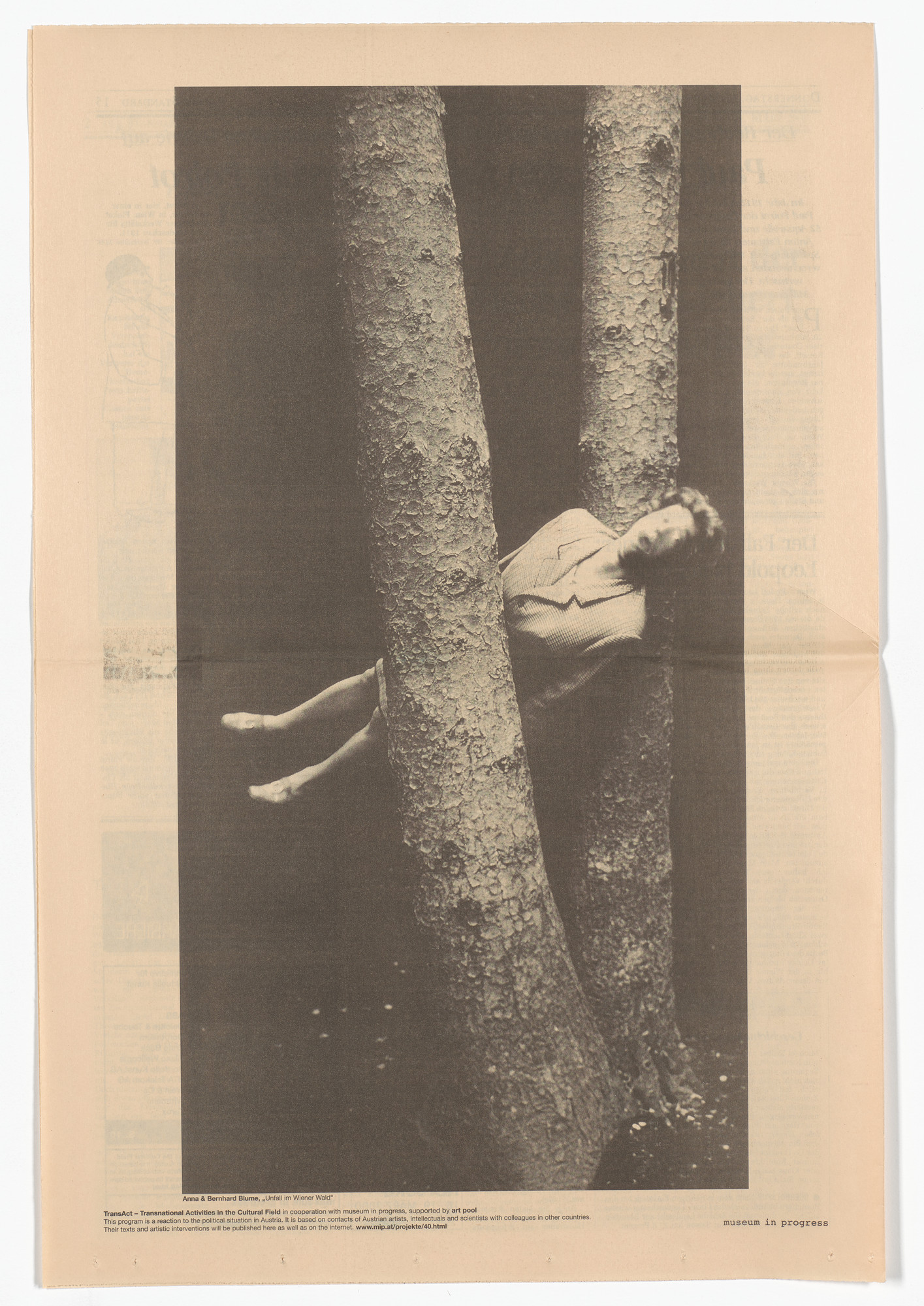 Anna Blume, Bernhard Blume. Unfall im Wiener Wald from the Museum in Progress project TransAct: Transnational Activities in the Cultural Field