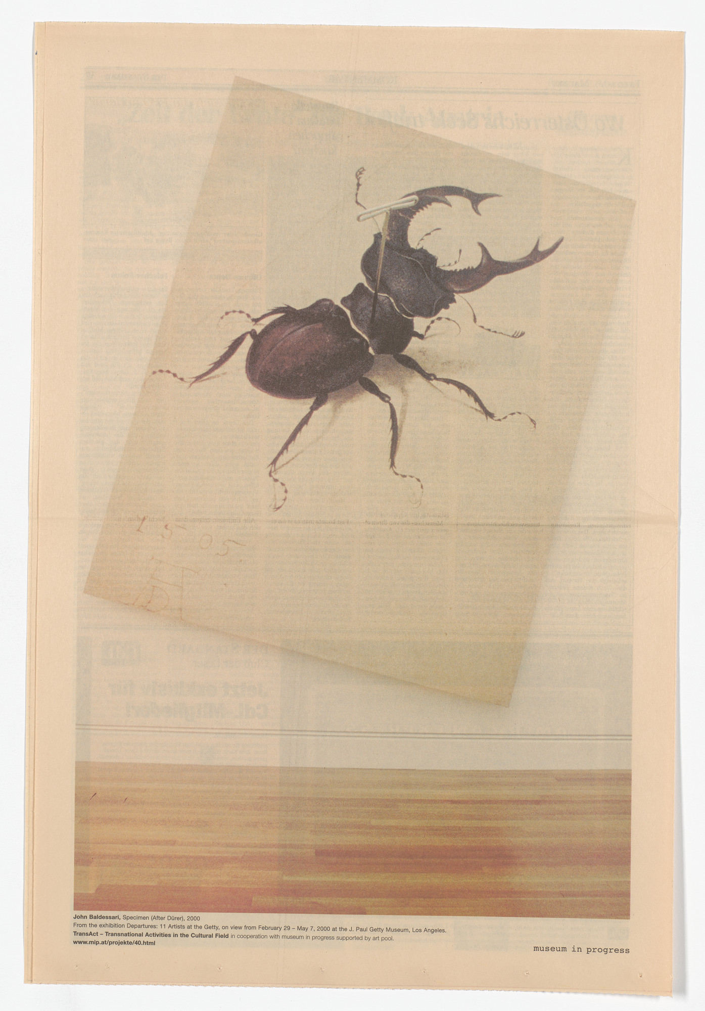 John Baldessari. Specimen ( After Durer ) from the Museum in Progress project TransAct: Transnational Activities in the Cultural Field