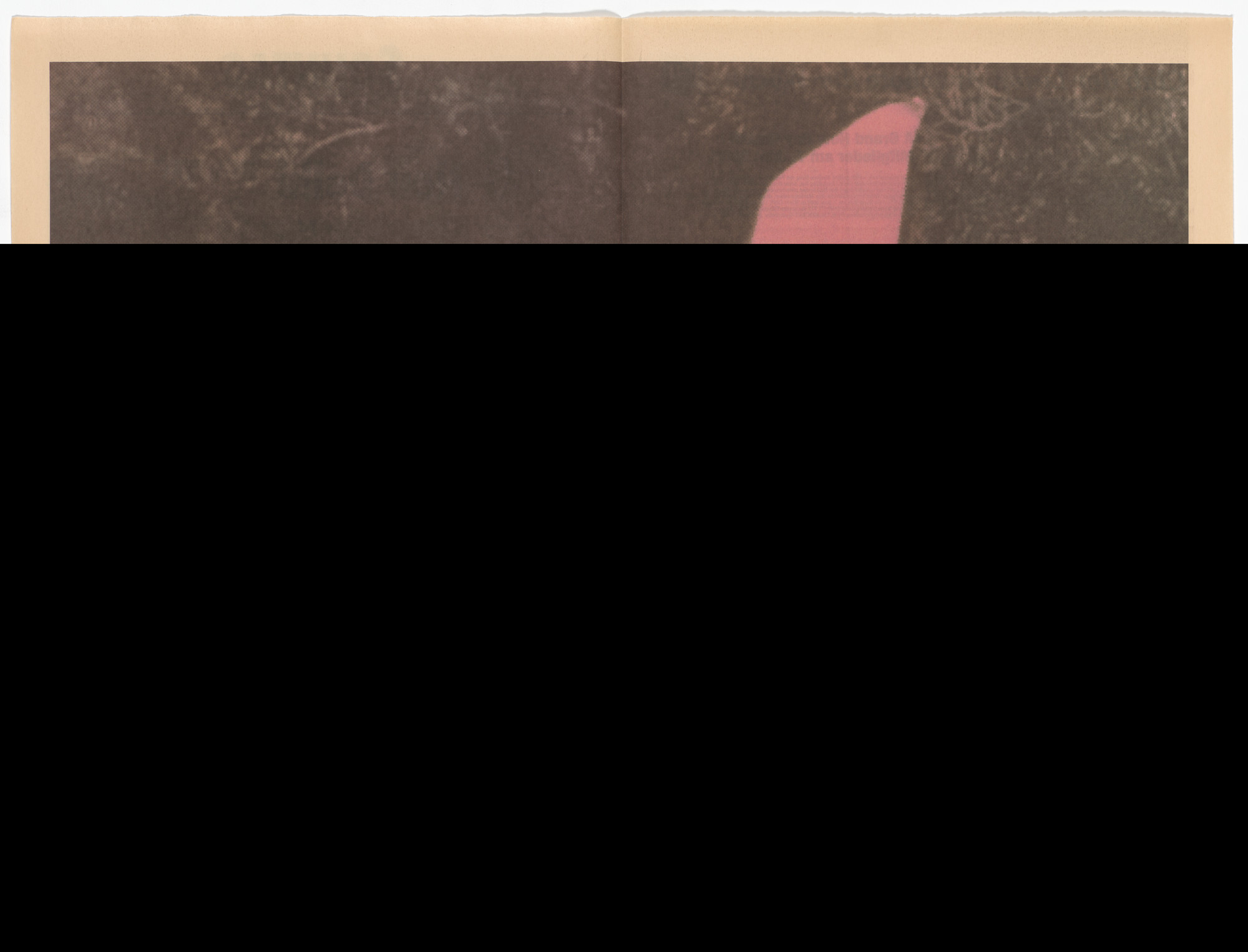 Vincent Leow. KKK 2000 from the Museum in Progress project Global Positions