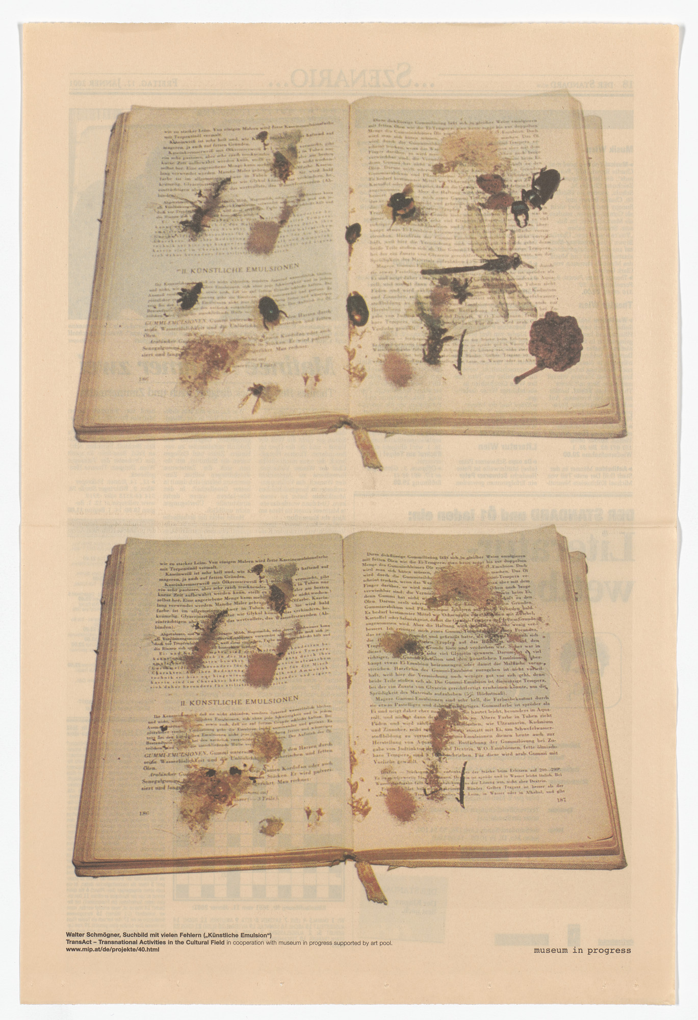 Walter Schmögner. Künstliche Emulsion from the Museum in Progress project TransAct: Transnational Activities in the Cultural Field