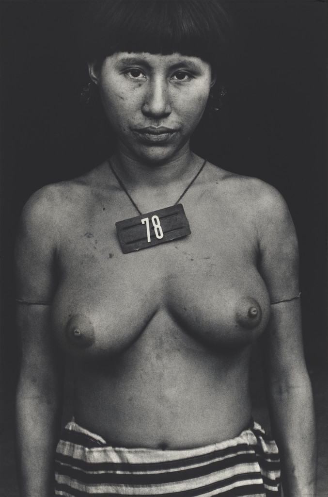 Vertical 8 (Village of Mucajai) from the series Marcados