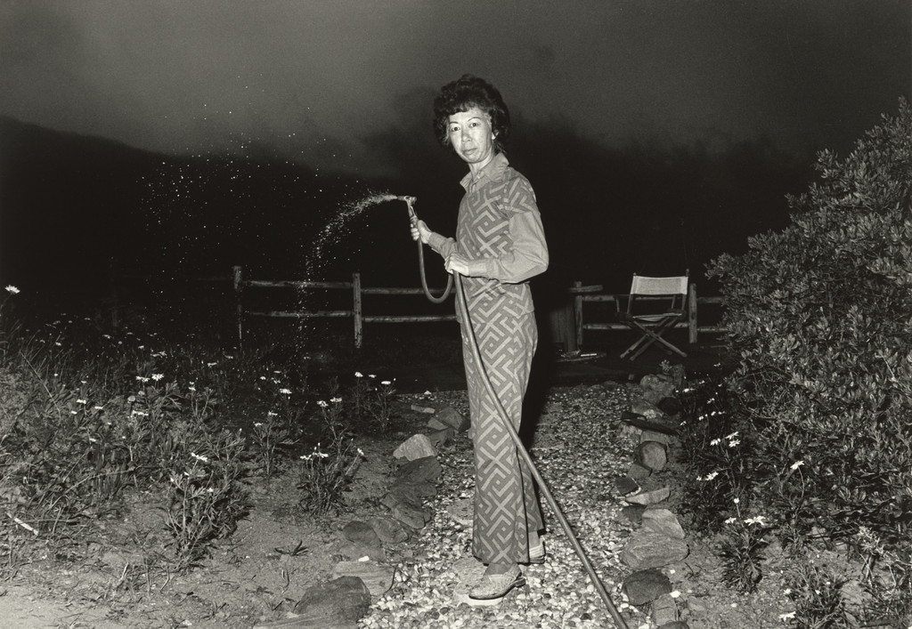 Lucy Watering at Night