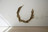 Guadalupe Maravilla. Circle Serpent (Serpiente Circular). 2019