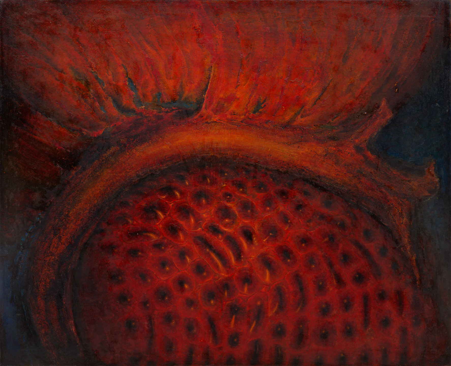 Octave Landuyt. Essential Surface, Eye. 1960