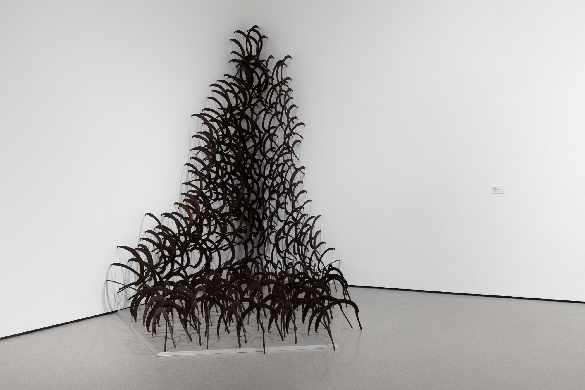 Shambhavi. Reaper&#39;s Melody. 2011/2018