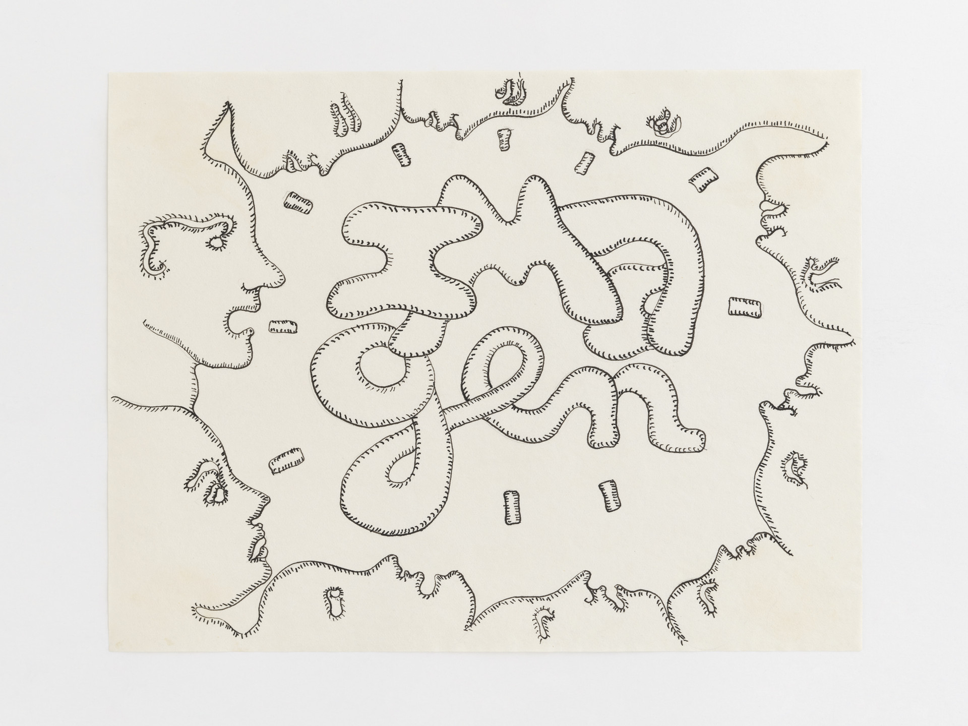 Cecilia Vicuña. Imagen: imán del gen (Image: Magnet of Genes) from the series AMAzone Palabrarmas. 1978