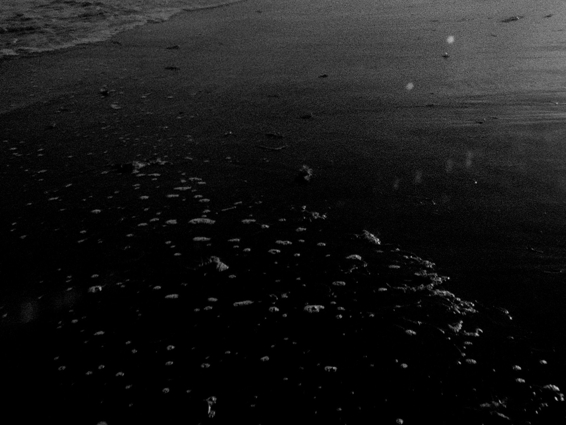 Beatriz Santiago Muñoz. Playa negra/Caballo/Campamento/Los muertos/Fuerzas. 2016