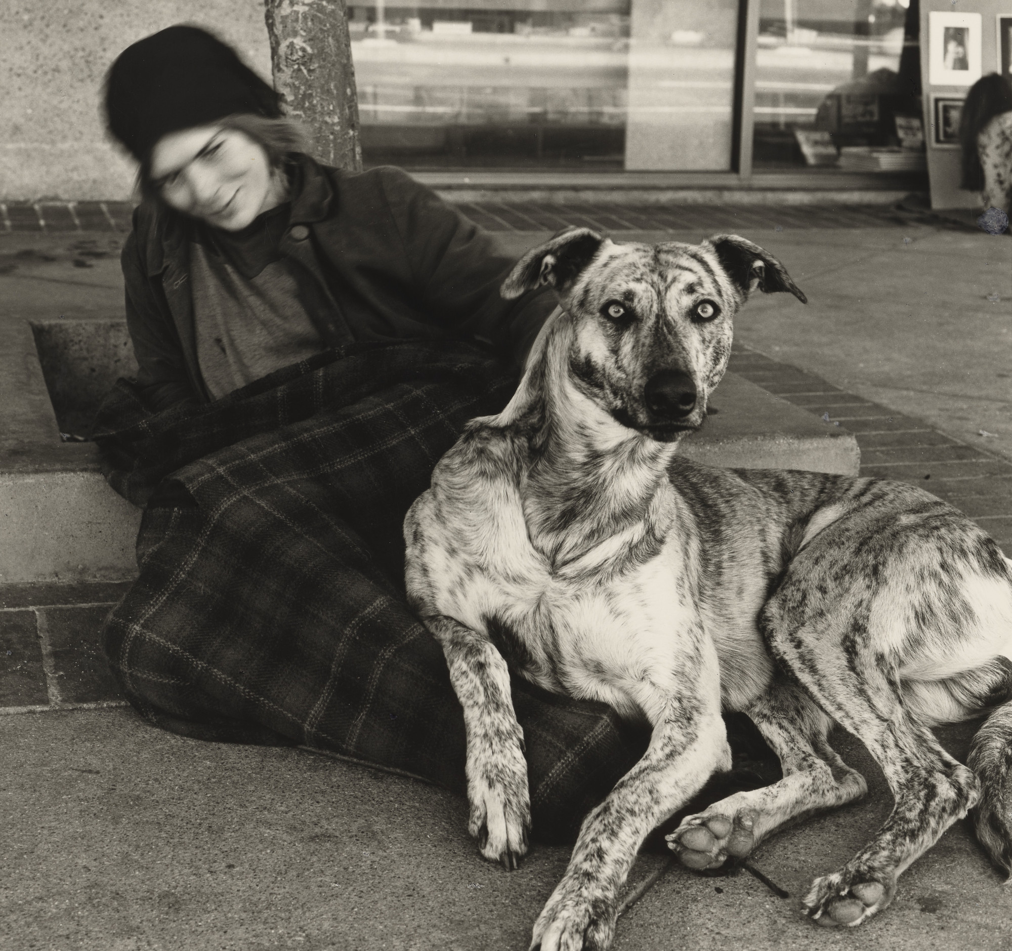 Richard Misrach. Frankie and Jeremy