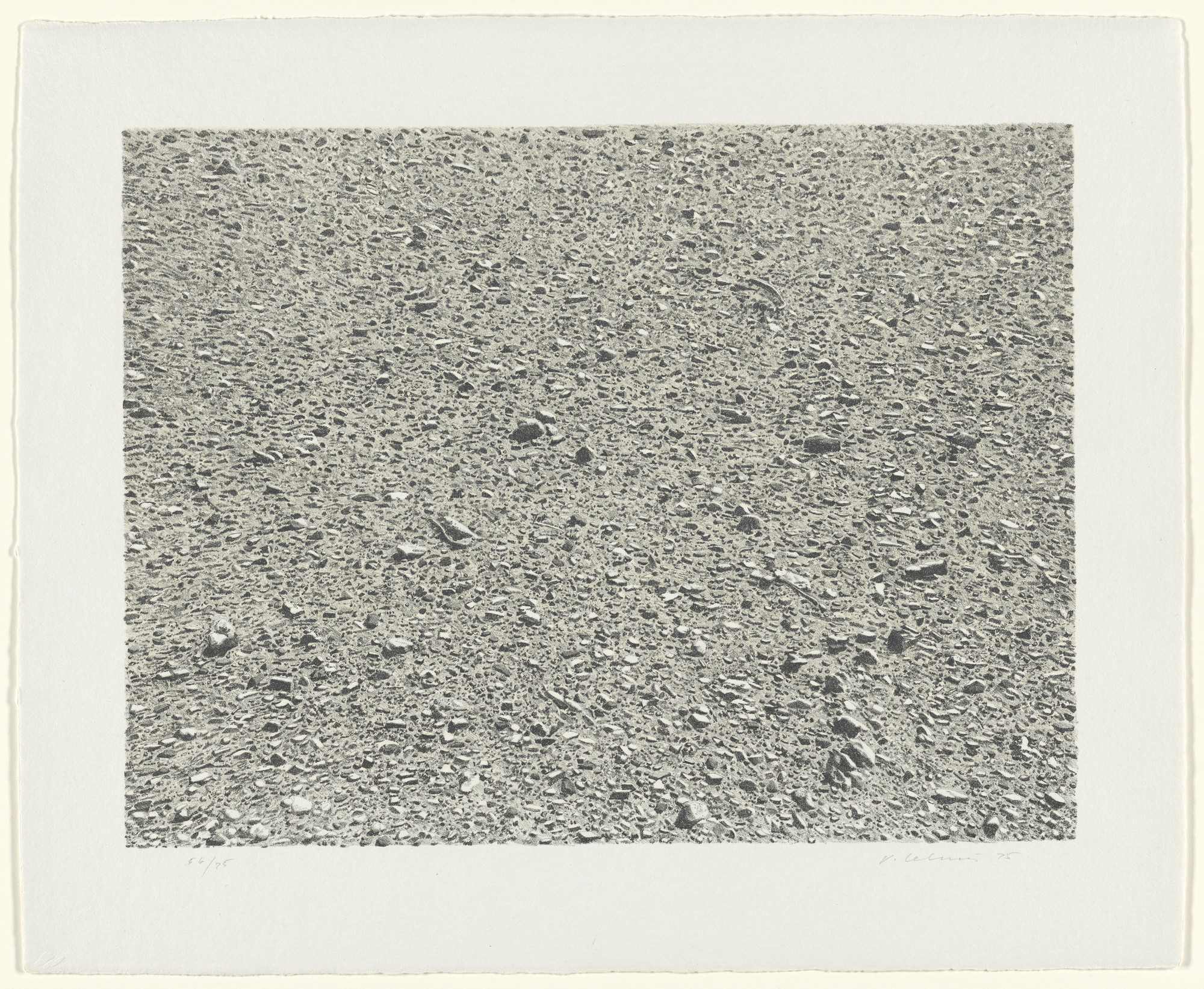 Vija Celmins. Desert from Untitled Portfolio