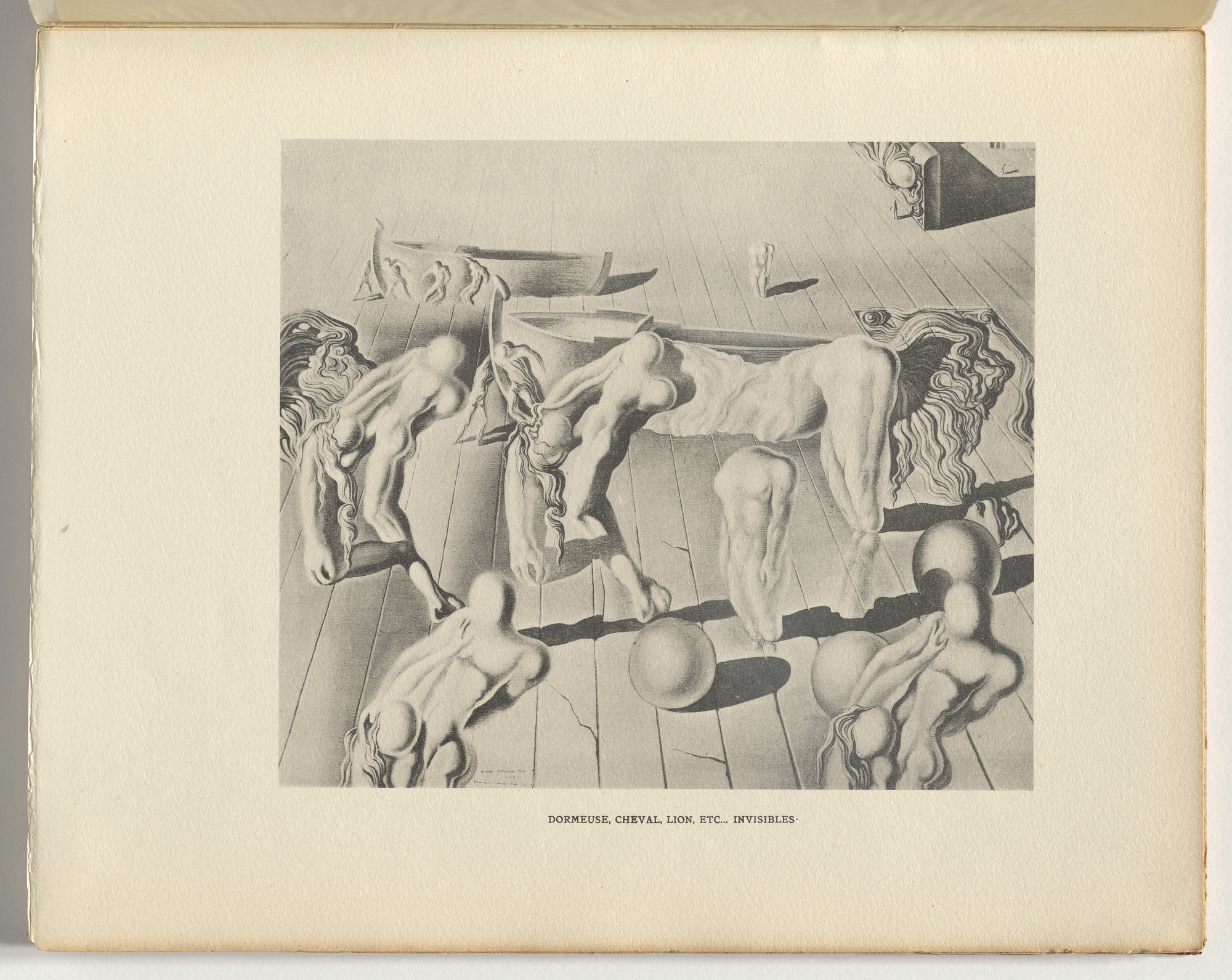 Salvador Dalí. Dormeuse, Cheval, Lion, etc.... Invisibles (plate, page 13) from La Femme Visible (The Visible Woman)