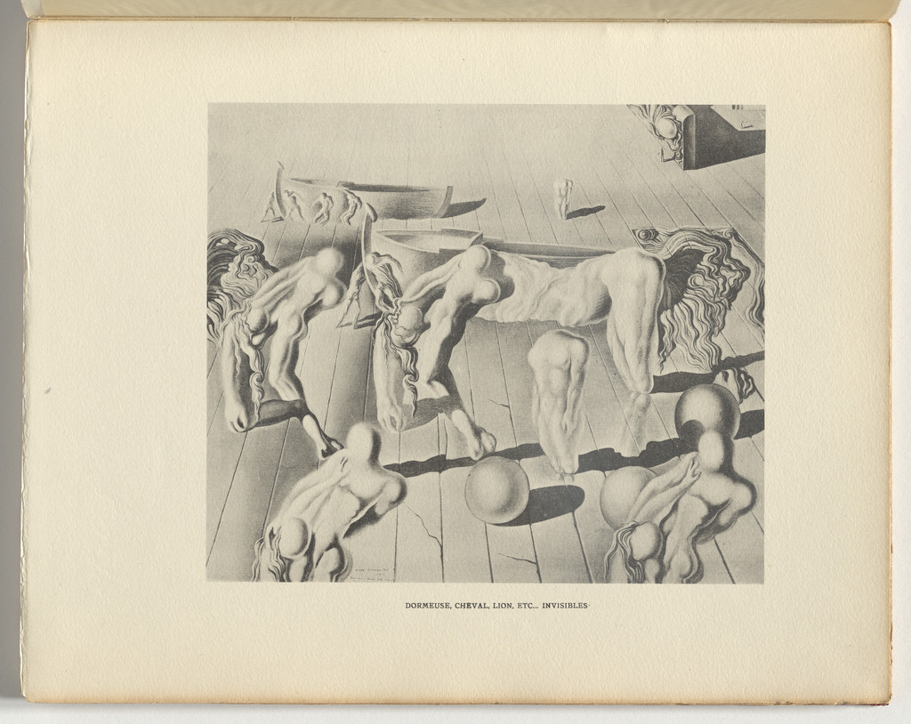 Dormeuse, Cheval, Lion, etc.... Invisibles (plate, page 13) from La Femme Visible (The Visible Woman)