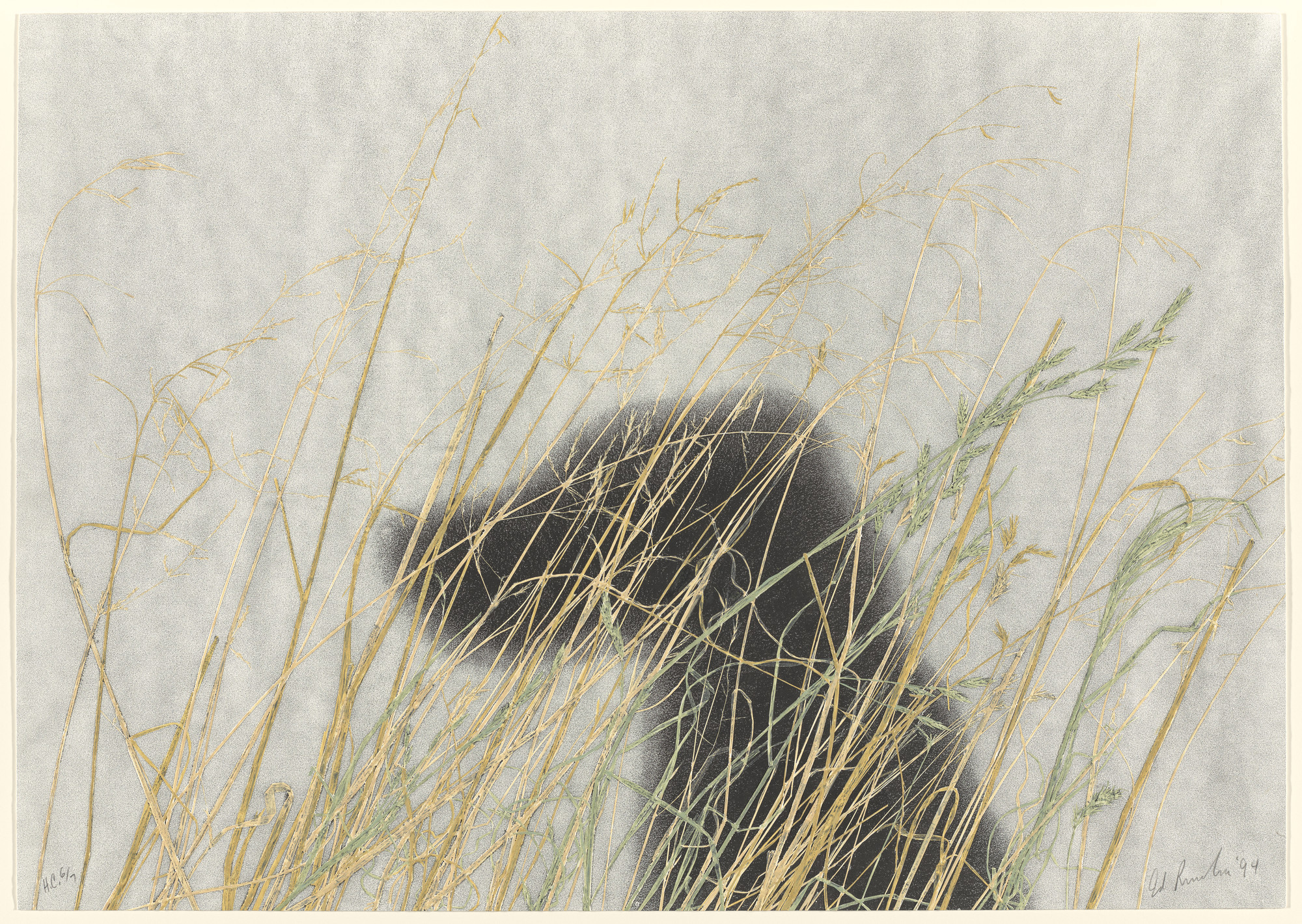 Edward Ruscha. Dog