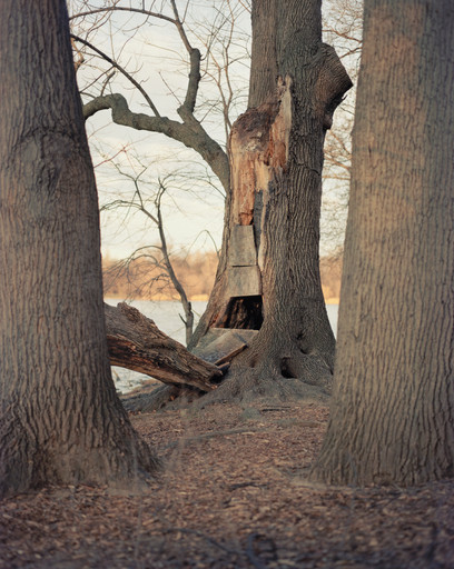 Untitled from the series In Plain Air, Prospect Park, Brooklyn