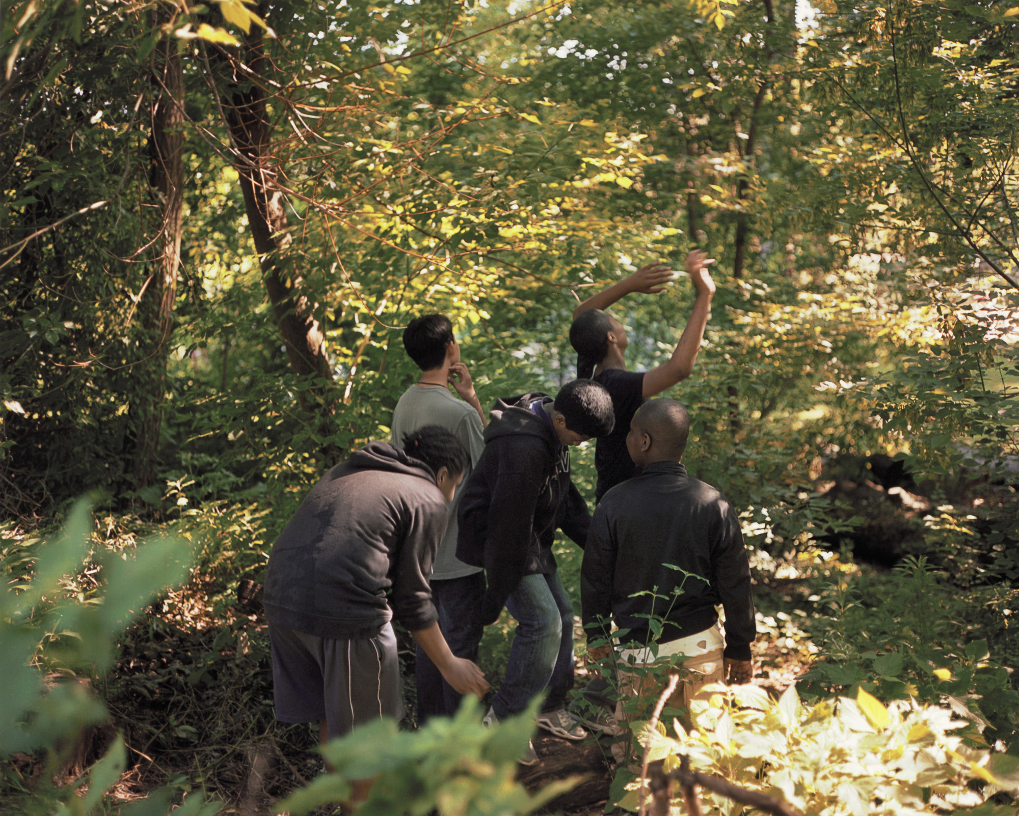 Irina Rozovsky. Untitled from the series In Plain Air, Prospect Park, Brooklyn
