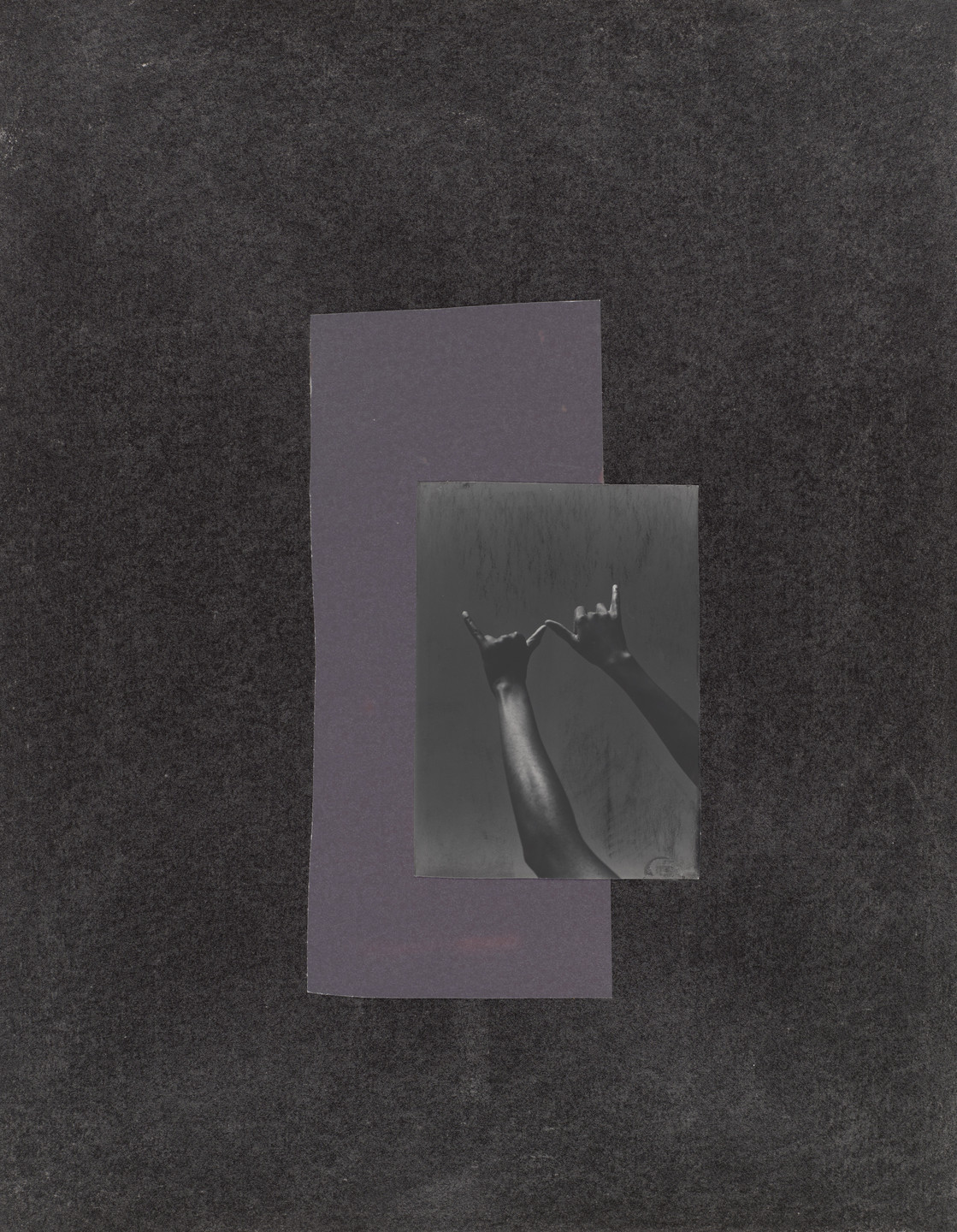 Dionne Lee. North. 2019