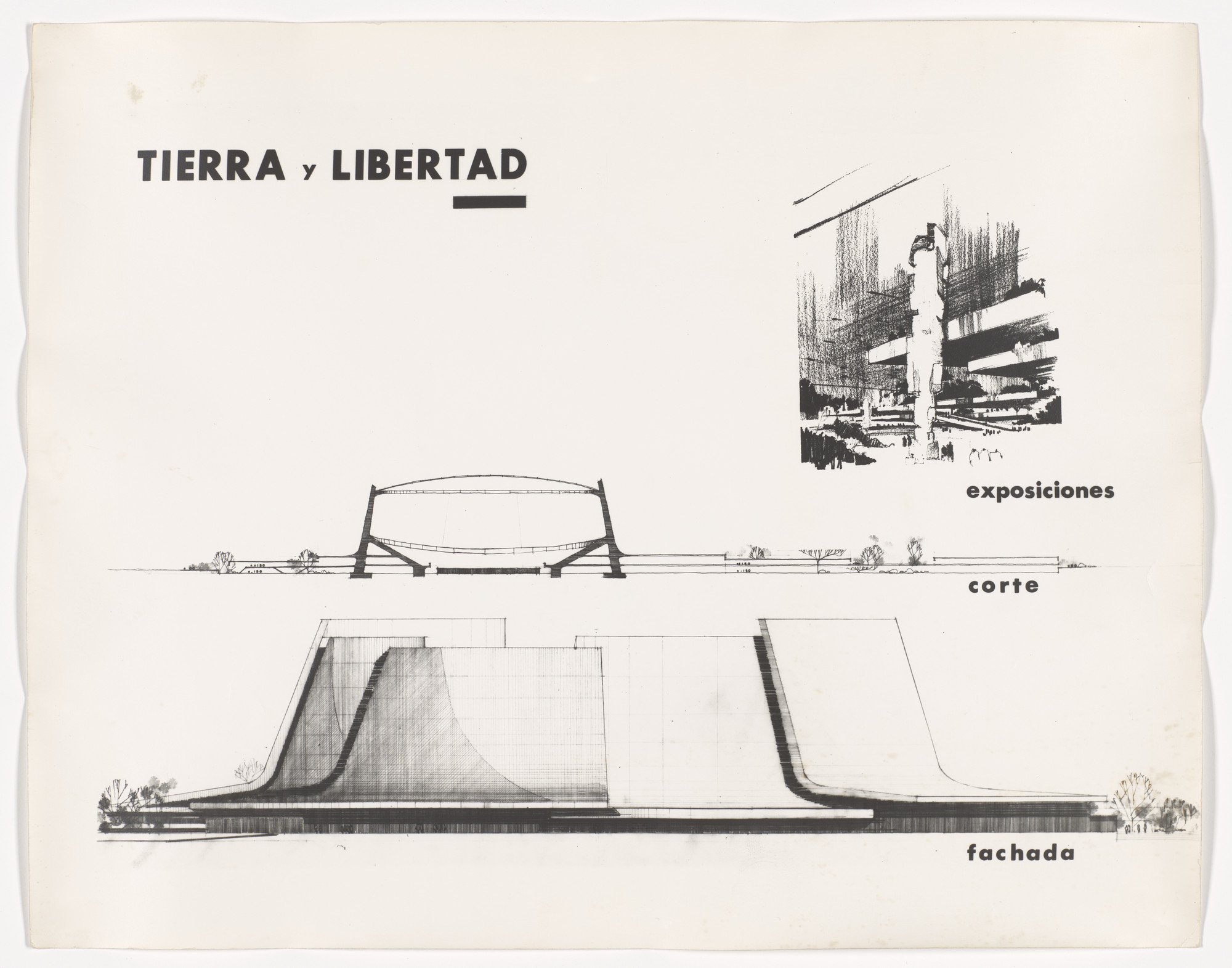 José Antonio Attolini Lack. Palacio de los Deportes, Mexico City, Mexico