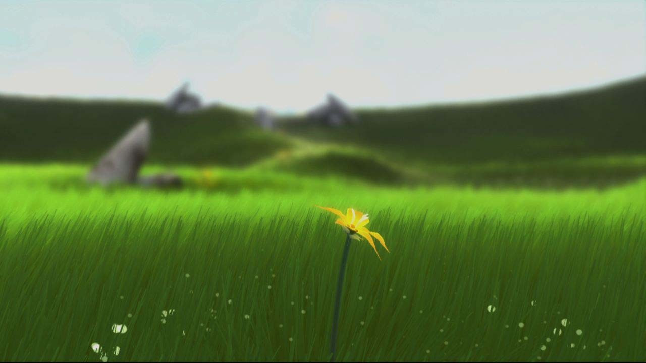 Jenova (Xinghan) Chen. Flower. 2009