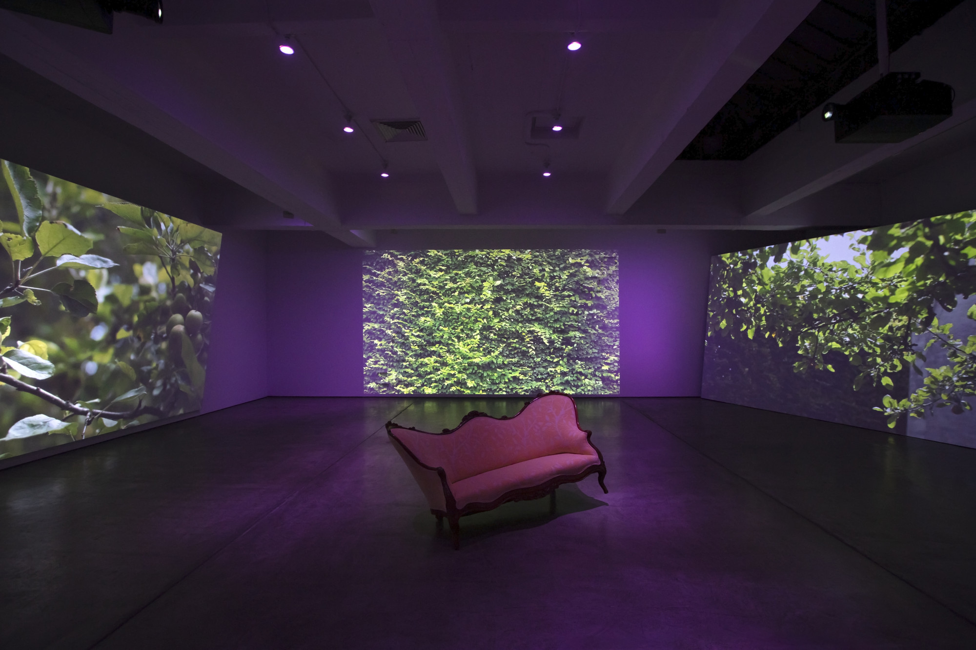 Ja'Tovia Gary. THE GIVERNY SUITE. 2019