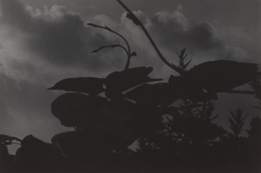 Jun Shiraoka. Untitled (Yokohama, Japan)