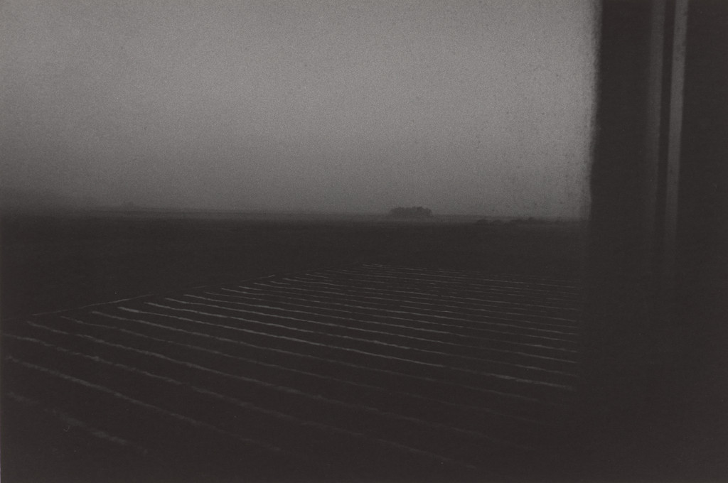 Untitled (Ekime, Japan)