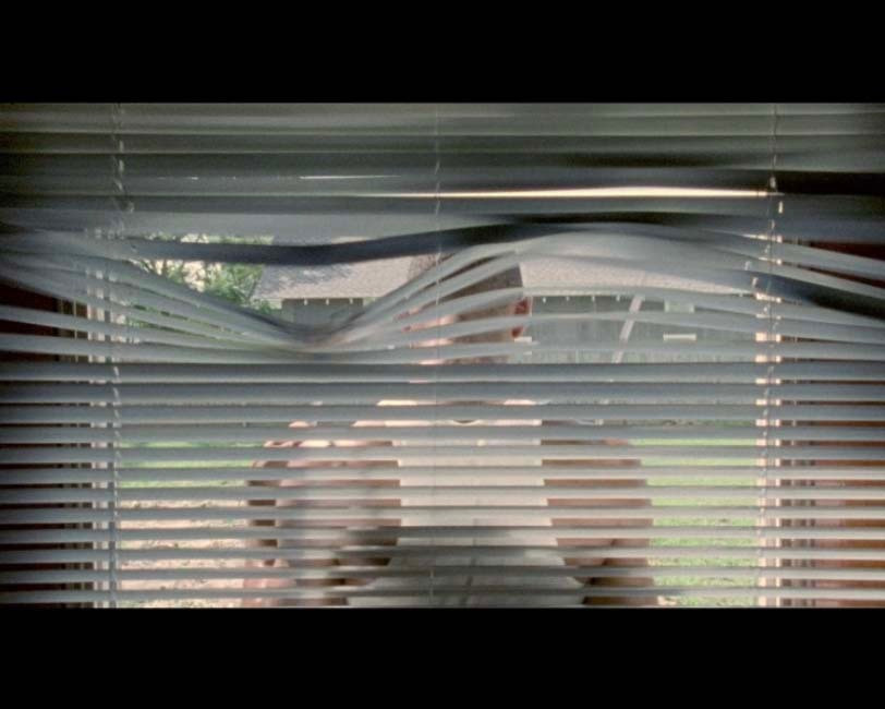 A Man Screaming Is Not a Dancing Bear