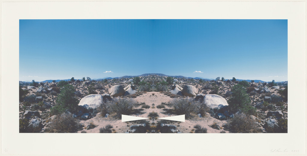 Bow-tie Palm Springs from the series Bow-tie Landscapes