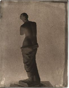 Venus de Milo on Rooftop in Paris