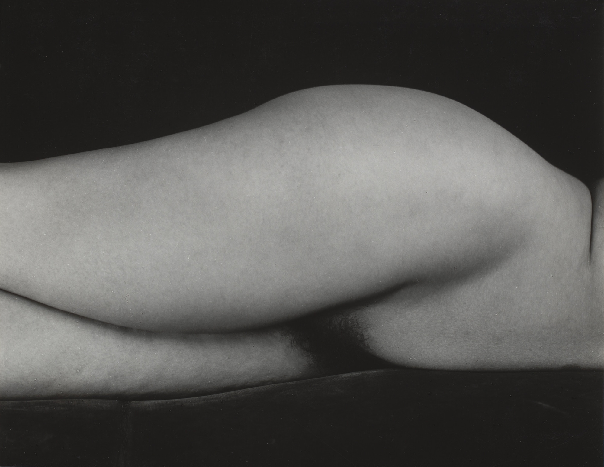 Edward Weston. Sibyl, Nude