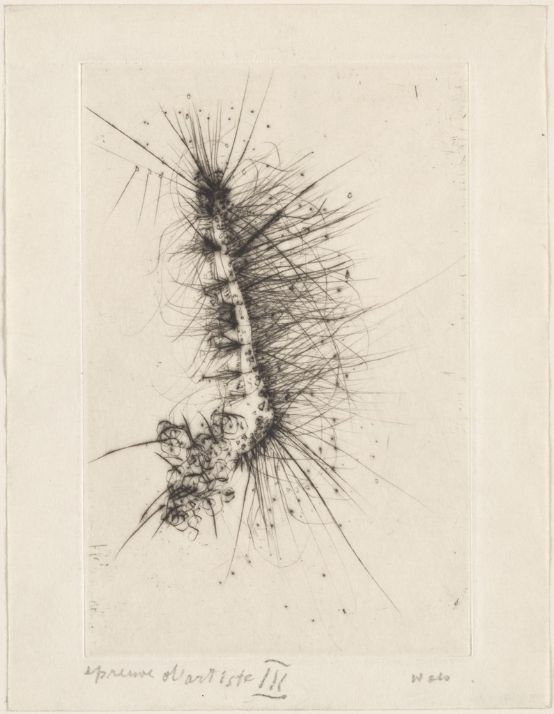 Frontispiece from the illustrated book Naturelles by René de Solier