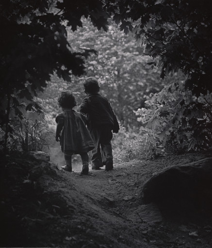 The Walk to Paradise Garden