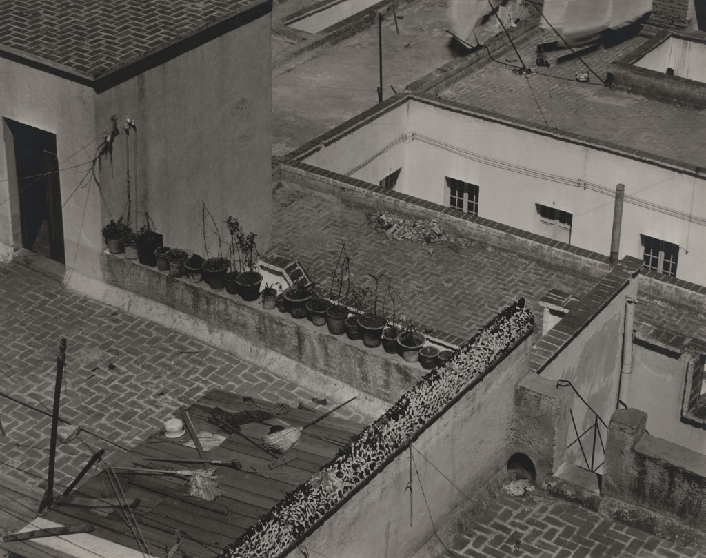 Roofs of Mexico City