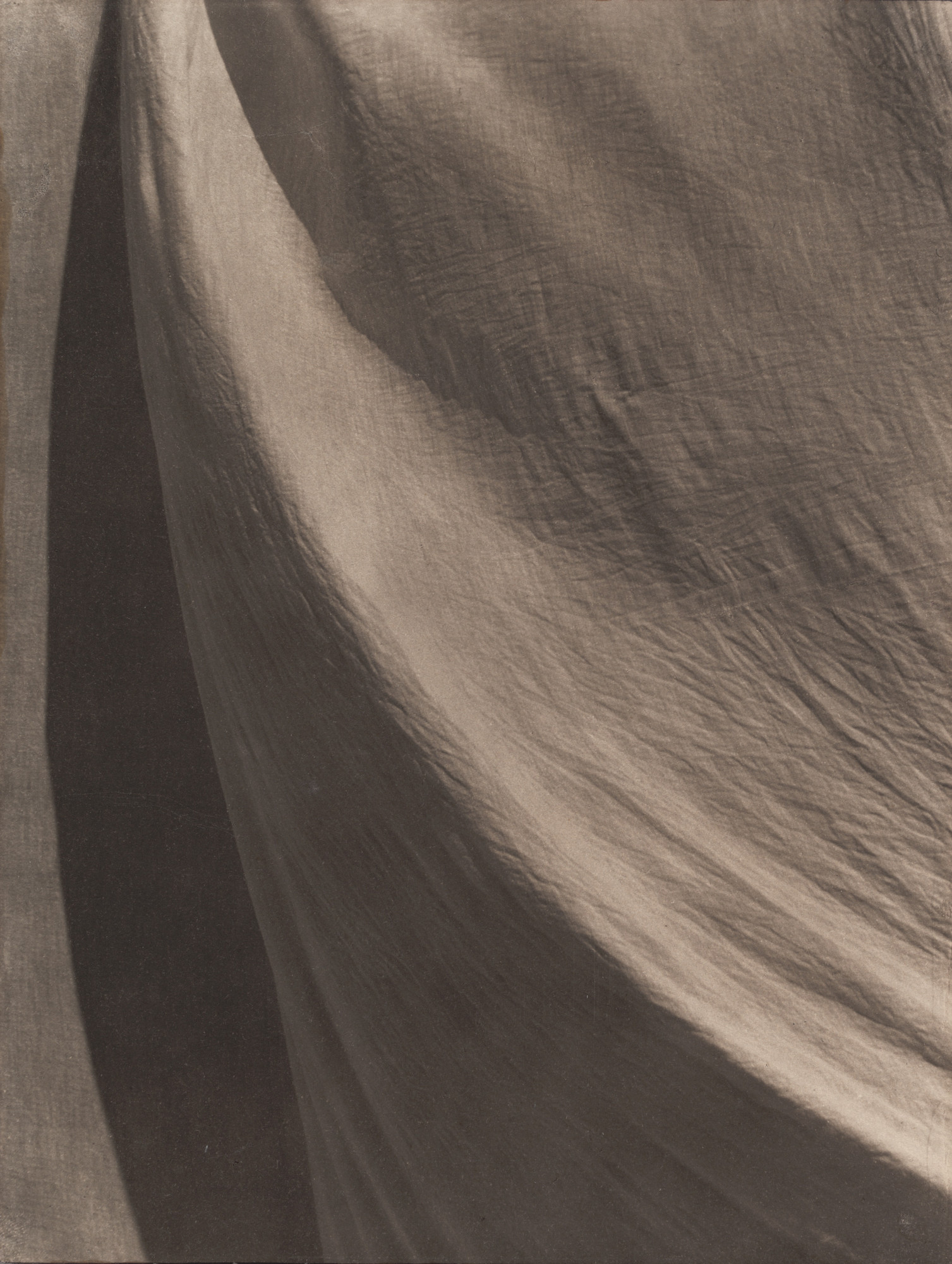 Tina Modotti. Cloth Folds