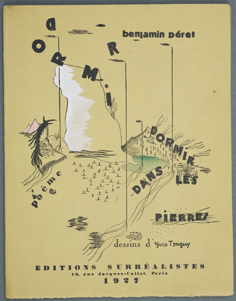 Cover for Dormir, dormir dans les pierres