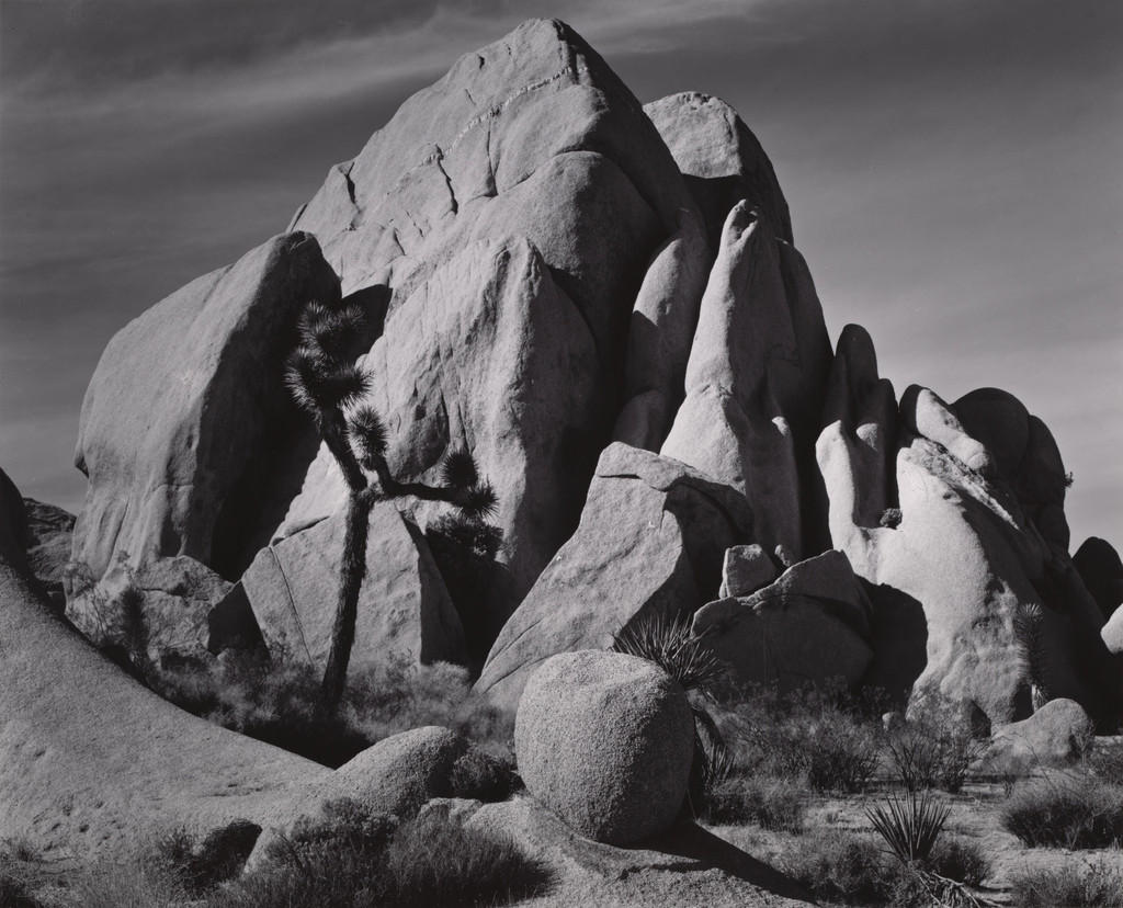 In Joshua Tree National Monument, California