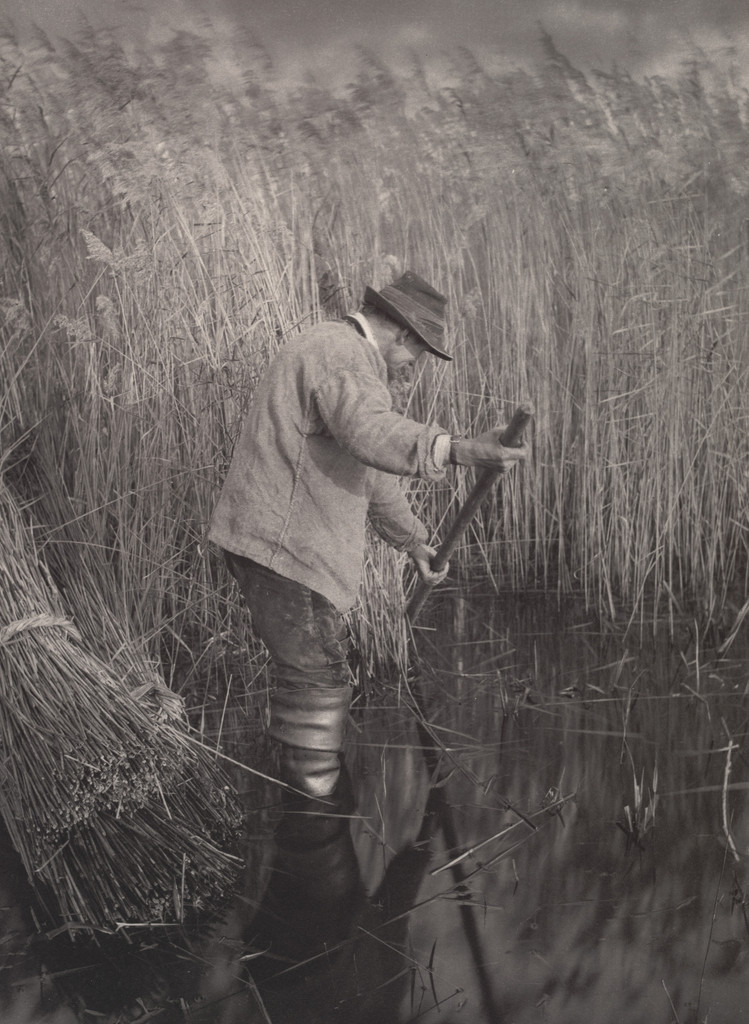 A Reed-Cutter at Work from Life and Landscape on the Norfolk Broads (London, 1886)