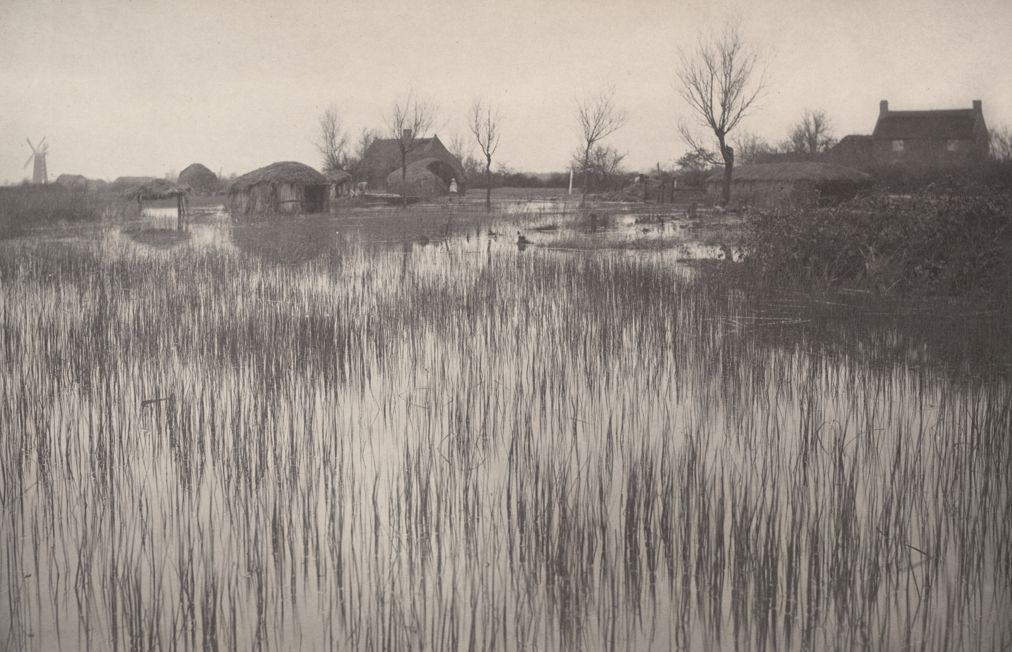 Peter Henry Emerson, T. F. Goodall. A Rushy Shore from Life and Landscape on the Norfolk Broads (1886). c. 1885