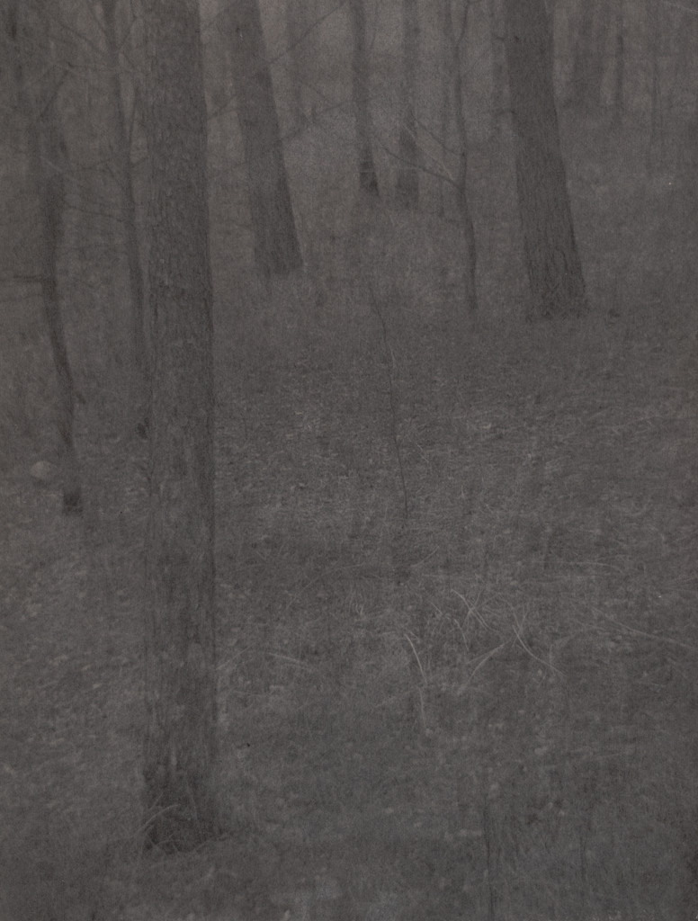 Farmer's Wood Lot, Milwaukee