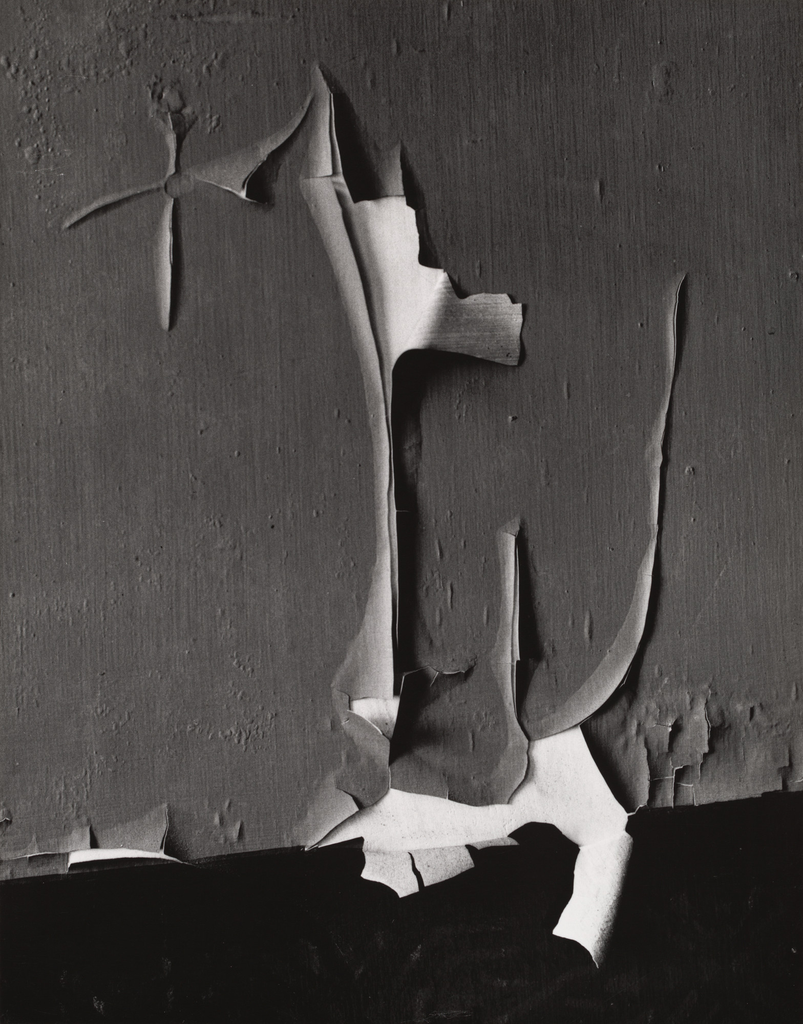 Minor White. Peeled Paint