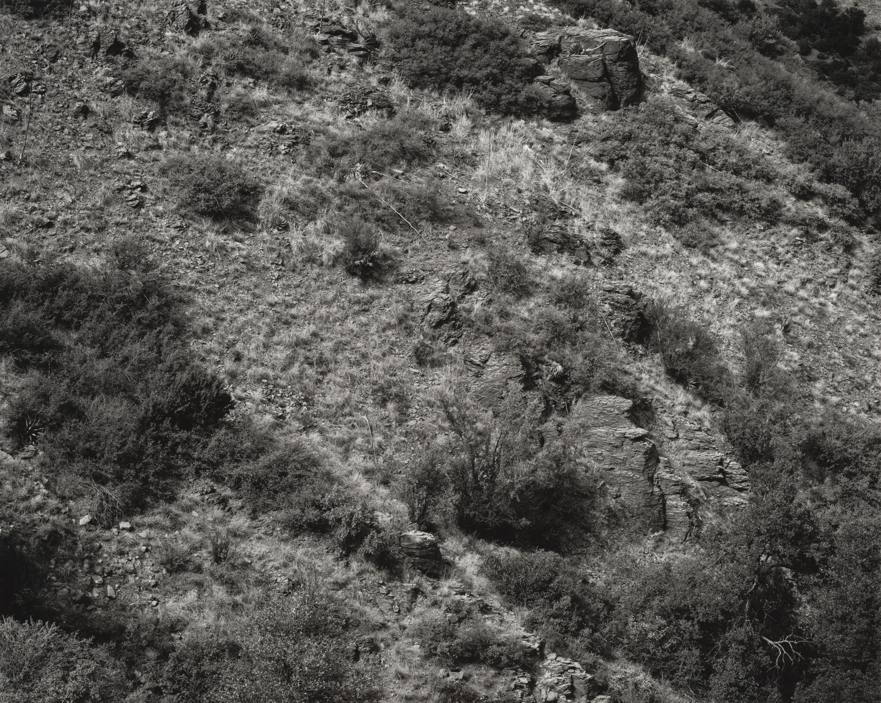Frederick Sommer. Arizona Landscape. 1943