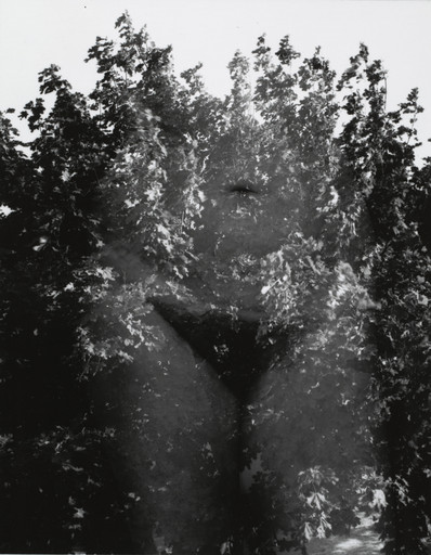 Harry Callahan. Eleanor, Aix-en-Provence, France. 1958 | MoMA
